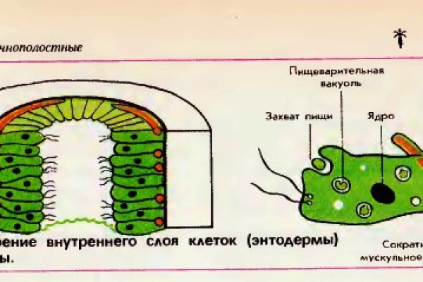 Сайты наркоты